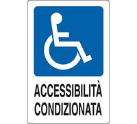 PIXLEMON Adesivo cm 18x12 ACCESSIBILITÀ CONDIZIONATA
