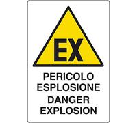 PIXLEMON Cartello Alluminio cm 30x20 Pericolo Esplosione Danger Explosion