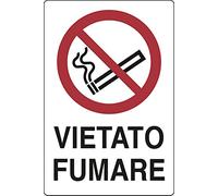 PIXLEMON Cartello Alluminio cm 30x20 Vietato Fumare