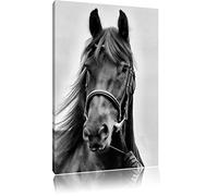 Pixxprint cavallo marrone Stampa su tela 60x40 cm artistica murale