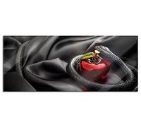 Pixxprint Quadro panoramico in vetro, motivo: serpente nero intorno alla mela rossa, 120 x 50 cm, con sospensione e distanziatore