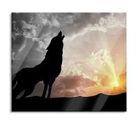 Pixxprint Wolf - Piastra di copertura per fornelli e paraspruzzi in vero vetro, 60 x 52 cm