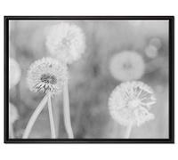 Pixxprint WTD - Stampa su tela con motivo di leoni romantici, 80 x 60 cm, in cornice, senza poster