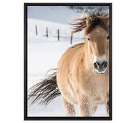 Pixxprint WTD - Stampa su tela, motivo: cavallo nella neve, 80 x 60 cm nella cornice, senza poster