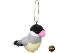 Piyopiyo Kotori Sakura Java Sparrow Chick Plush Sanei Boeki Japan Official