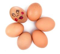 Pizsieat 6 Pezzi Uova di Legno,Uova Finte per Galline,Uovo Legno Uova Finte Aiutano Uovo di Legno Falso Galline per Incoraggiare la Posa o Prevenire Il Consumo di Uova