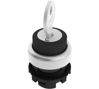 Pizzato Elettrica E21SC2DVA19AA Interruttore a chiave Nero 1 x 90 ° 1 pz.