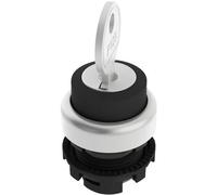 Pizzato Elettrica E21SC2DVA19AA Interruttore a chiave Nero 1 x 90 ° 1 pz.