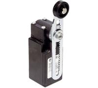 Pizzato Elettrica FR 556-M2 Fine corsa 250 V/AC 6 A Leva ruotabile Momentaneo