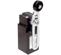 Pizzato Elettrica FR 556-M2 FR 556-M2 Fine corsa 250 V/AC 6 A Leva ruotabile