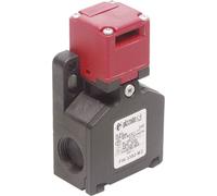 Pizzato Elettrica FW 3392-M2 FW 3392-M2 Interruttore di sicurezza 250 V/AC 6 A