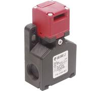 Pizzato Elettrica FW 3392-M2 Interruttore di sicurezza 250 V/AC 6 A attuatore