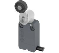 Pizzato Elettrica NF B112KG-DN2 Fine corsa 250 V/AC 4 A Leva ruotabile Moment