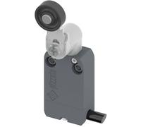 Pizzato Elettrica NF B112KG-DN2 NF B112KG-DN2 Fine corsa 250 V/AC 4 A Leva