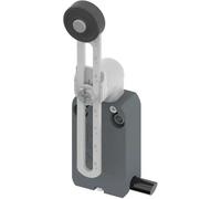 Pizzato Elettrica NF B112KP-DN2 Fine corsa 250 V/AC 4 A Leva ruotabile Moment
