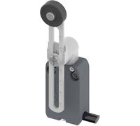 Pizzato Elettrica NF B112KP-DN2 NF B112KP-DN2 Fine corsa 250 V/AC 4 A Leva