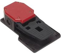 Pizzato Elettrica PA 20301-M2 Interruttore a Pedale 250 V/AC 6 A 1 Pedale 1 NA, 1 NC IP65 1 pz.
