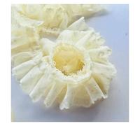 Pizzo, Fascia for capelli grande a forma di cuore con pieghe, design morbido(Light Yellow)