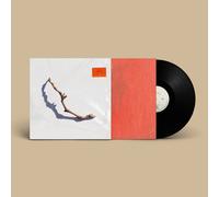 PJ Harvey I Inside the Old Year Dying (Vinyl LP) 12" Album