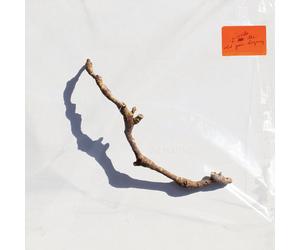 Pj Harvey - I Inside The Old Years Dying - Cd (digipack)