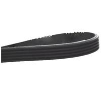 PJ Model RibbeDrive Cinghia per Cressor & Treal 1pc 394mmx9 5710 Ribs Cinghia di Trasmissione Performance High Cali Ideale per Ricambio