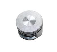 PJFXUIZ Motore per Barca per Motore fuoribordo Yamaha 4 Tempi 6 Cavalli 6BX-E1631-00-96 6BX-E1603-00 pistone e Anello(Gold)
