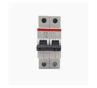 PKHDLYEU Interruttore Automatico Interruttore Automatico SH201 1PN 2P Tipo C 1A 2A 3A 4A 6A 10A 16A 20A 25A 32A 40A 50A 63A(2P,50A)