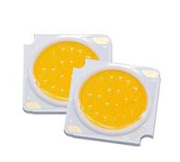 PKNVKZIDK 1pcs LED Chip 20W 480-600mA DC30-33V Cold White 6500K Lighting Source Diode 1919mm DIY