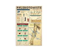 PKNVKZIDK Clinical Phlebotomy Reference Metal Wall Chart Arm Venous Anatomy Diagram Nurse Decor Healthcare Education 8 X 12