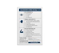 PKNVKZIDK GCS Scoring Chart - Glasgow Coma Scale Reference for Nursing Students, EMT Training & Medical Office Decor Framed,12x18inch(30x45cm)