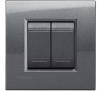 Placca 2 posti Acciaio Bticino Living LNA4802AC