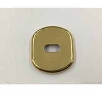 PLACCA BOCCHETTA ROSETTA GHIDINI PER PORTA - PORTA BLINDATA OTTONE LUCIDO CON FORO PER LIMITATORE DI APERTURA 61X70