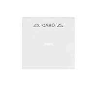 PLACCA CENTRALE PER INTERRUTTORE A SCHEDA BUSCH-JAEGER bianca 63x63 mm per a 1792-84, RoHS
