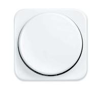 PLACCA CENTRALE PER INTERRUTTORE BUSCH-JAEGER 2115-214, Busch-Jaeger 2112 U-101, 2116(/11) U, 2117(/11) U, 2247 U, 2250 U