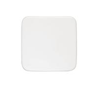 PLACCA CENTRALE PER INTERRUTTORE O PRESA BUSCH-JAEGER cieca 54x54mm 13mm, Peso 12g, Grado di protezione IP20, IK03