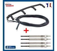 Placca Con Cavo + 4 Candele Candeletta Pinze Golf V Passat B6 038971782C