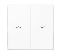 PLACCA CON SIMBOLI PER INTERRUTTORE JUNG a bilanciere aws per pulsante LS 995 P WW