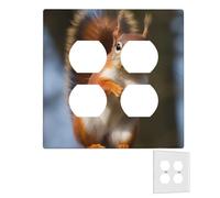 Placca da parete decoratore 2 gang copri interruttore luce duplex prese coperture scoiattolo divertente animale piastre da parete per prese elettriche copertura spina di medie dimensioni doppie