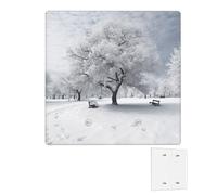 Placca da parete decoratore 2 Gang copri interruttori per prese duplex coperture per prese elettriche Piastre da parete per prese elettriche Piastre per interruttori a bilanciere doppie di medie