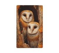 Placca da parete vuota con due gufi nella cavità singola per interruttore della luce decorativa 1 banda per cucina stanza bagno dimensioni 11,4 x 7 cm