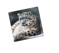 Placca decorativa da parete con 2 moduli Duplex Wall Plate Snow Leopard Edge Outlet Cover per interruttore della luce Placca decorativa da parete 12,7 x 7,6 cm in termoplastica standard stile Q