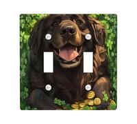 Placca decorativa per interruttore della luce del giorno di San Patrizio Terranova a 2 bande con doppio interruttore, piastra elettrica per stanza, quadrifoglio per animali domestici
