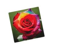 Placca decorativa per presa a muro 2 bande Duplex Wallplate rosa Edge Outlet Cover interruttore luce Placca decorativa da parete 12,7 x 7,6 cm Termoplastica Standard Size Style Q