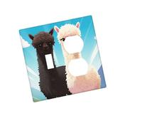 Placca decorativa per presa a parete, 2 moduli, Duplex, bordo alpaca, copertura per interruttore della luce, piastra decorativa da parete, 12,7 x 7,6 cm, in materiale termoplastico, dimensioni