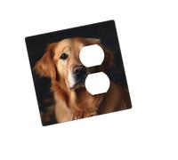 Placca decorativa per presa a parete, 2 moduli Duplex, Golden Retriever, copertura per interruttore della luce, piastra decorativa da parete 12,7 x 7,6 cm, in materiale termoplastico, dimensioni