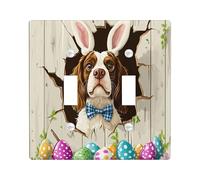 Placca di copertura decorativa per interruttore della luce del cane Springer Spaniel di Pasqua, 2 gang a doppia levetta, divertente piastra elettrica rustica per la stanza, la piastra elettrica della