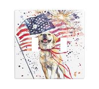 Placca di copertura per interruttore della luce a doppio cane, bandiera patriottica festiva fuochi d'artificio Giorno dell'Indipendenza in plastica rossa, dimensioni standard, piatti decorativi da