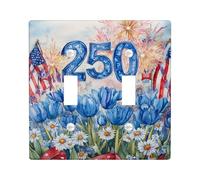 Placca di copertura per interruttore della luce a doppio tulipano, crisantemo festivo patriottico festivo fuochi d'artificio estate in plastica blu dimensioni standard piastra decorativa per casa