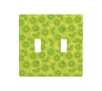 Placca di copertura per interruttore della luce a levetta, 2 piastre da parete di dimensioni standard 11,4 x 11,4 cm, motivo lime Kelly verde, doppia piastra di copertura per interruttore della luce