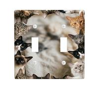 Placca di copertura per interruttore della luce doppia, motivo gatti, espressioni di volti giocosi, nessuna plastica neutra, dimensioni standard, piatti decorativi da parete per casa, soggiorno